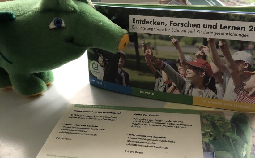 Unterwegs im Grüngürtel: Unsere Bildungsangebote für Schulen und Kitas