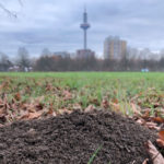 Naturwandeln Touren