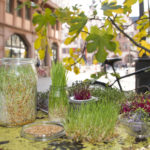Erde & Ernährung