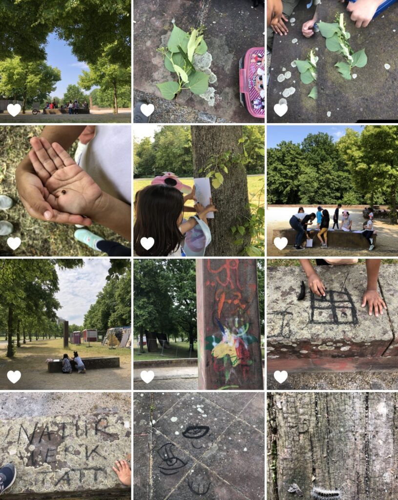 Impressionen aus unseren Ausflügen für Kindergärten & Schulen im Rahmen von ENTDECKEN, FORSCHEN & LERNEN im Grüngürtel